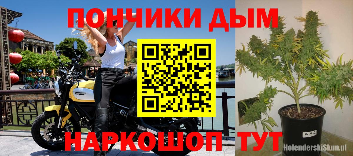 Шишки марихуана Bruce Banner Костомукша